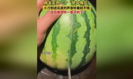 刀小刀吃瓜免费,揭秘娱乐圈幕后真相