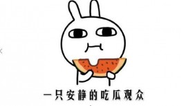 吃瓜吃瓜网络是什么意思,网络热词背后的文化现象