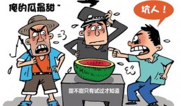 吃瓜不甜的短句,揭秘生活中的小确幸与无奈