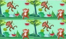 动物吃瓜人吃瓜的故事,动物与人类共食瓜果的趣味故事