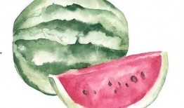 礼记吃瓜,古风食俗的智慧传承