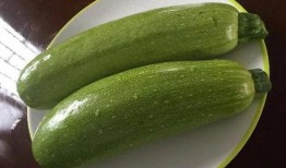 夏天吃一瓜,一瓜解千愁