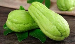 肖红丽吃瓜,揭秘娱乐圈幕后故事