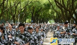 军训吃瓜小说,揭秘军营里的那些秘密趣事