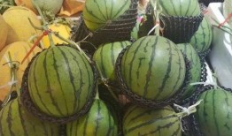 潍坊阳光一百吃瓜,揭秘吃瓜群众的欢乐盛宴