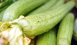 丝瓜能和水瓜一起吃吗吗,丝瓜与水瓜的搭配食用探讨