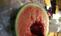 吃瓜吃的有点害怕,警惕“瓜农”的暗黑操控