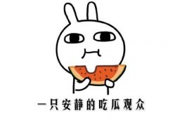 啥吃瓜,网络热词背后的趣味与思考