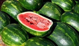 吃瓜唯美视频素材,唯美视频中的甜蜜瞬间