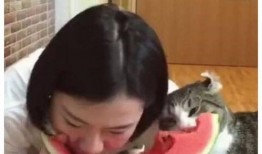 小姐姐吃瓜吃到大瓜了,小姐姐意外吃出大瓜，娱乐圈惊天秘密曝光！