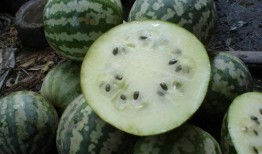 磨盘剥瓜怎么吃,解锁美味新体验