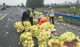 安新吃瓜群众,揭秘当地热点事件背后的故事