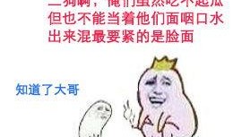 吃瓜中斗图,网络文化新风尚