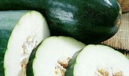 吃瓜必备带什么,盘点那些不可或缺的观瓜神器