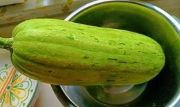 明月吃瓜,一场别开生面的吃瓜之旅