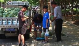 安新吃瓜群众,揭秘当地热点事件背后的故事