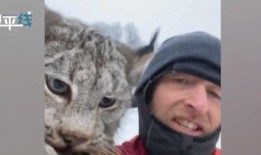 山猫无名 吃瓜,揭秘神秘吃瓜背后的故事