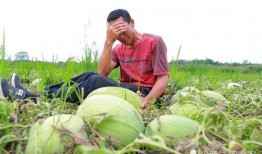 吃瓜吃到地头上,揭秘娱乐圈幕后故事