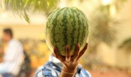 磨盘剥瓜怎么吃,解锁美味新体验