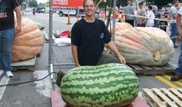 知产吃瓜,揭秘娱乐圈知识产权纠纷背后的故事