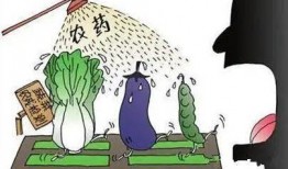 吃瓜 者被农药吃死了,悲剧！吃瓜群众误食农药中毒身亡