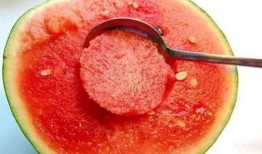 紫罗兰吃瓜,紫罗兰的瓜田奇遇记