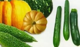 吃瓜群控,网络舆论背后的操控与真相