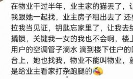 那种吃瓜QQ群,网络社交的“瓜田”奇观