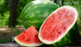 吊放瓜怎么吃,解锁美味新体验