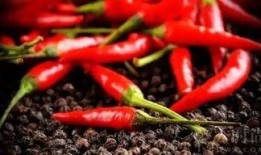 吃辣椒吃瓜,辣椒与西瓜的夏日美味之旅