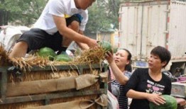 开封小伙吃瓜视频,揭秘街头美食背后的故事