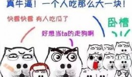 吃瓜中斗图,网络文化新风尚