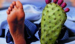 痛风吃角瓜吗,角瓜的食疗益处