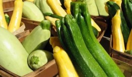 西安夏天吃的瓜,探寻古城夏天的甜蜜记忆