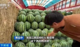 最新吃瓜缅北,最新吃瓜事件背后的真相与内幕