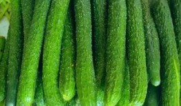 每天都在吃大瓜,揭秘娱乐圈新鲜事