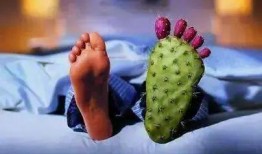 痛风吃角瓜吗,角瓜的食疗益处