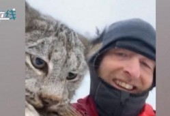 山猫无名 吃瓜,揭秘神秘吃瓜背后的故事