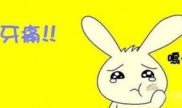 牙疼可以吃白瓜吗,白瓜能否缓解不适？探究瓜类对牙齿疼痛的缓解作用