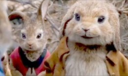 强扭瓜蘸酱吃视频,揭秘视频中的趣味生活瞬间