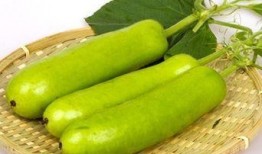 康复医院吃瓜,揭秘康复生活点滴