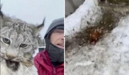 山猫无名 吃瓜,揭秘神秘吃瓜背后的故事