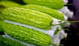 孕妇是否可以吃生瓜,孕妇能否食用生瓜解析