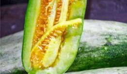 全网网红吃瓜爆料,揭秘娱乐圈背后的惊人真相