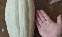 意大利瓜叶可以吃,探寻意大利瓜叶美食之旅