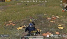 吃瓜人遇到狼人视频,揭秘狼人视频背后的真相