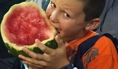 精致男孩吃瓜,精致男孩的瓜田奇遇记