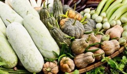 吃中药可以吃籽瓜吗,籽瓜与中药同食的适宜性探讨