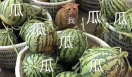 关于最近吃瓜,揭秘近期热门吃瓜事件背后的真相