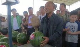 张家吃瓜群众,揭秘社区热点背后的故事